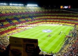 九游会-哈曼评述英超挑战，沃尔特马德印证联赛差异，维尔茨开局适应期艰难