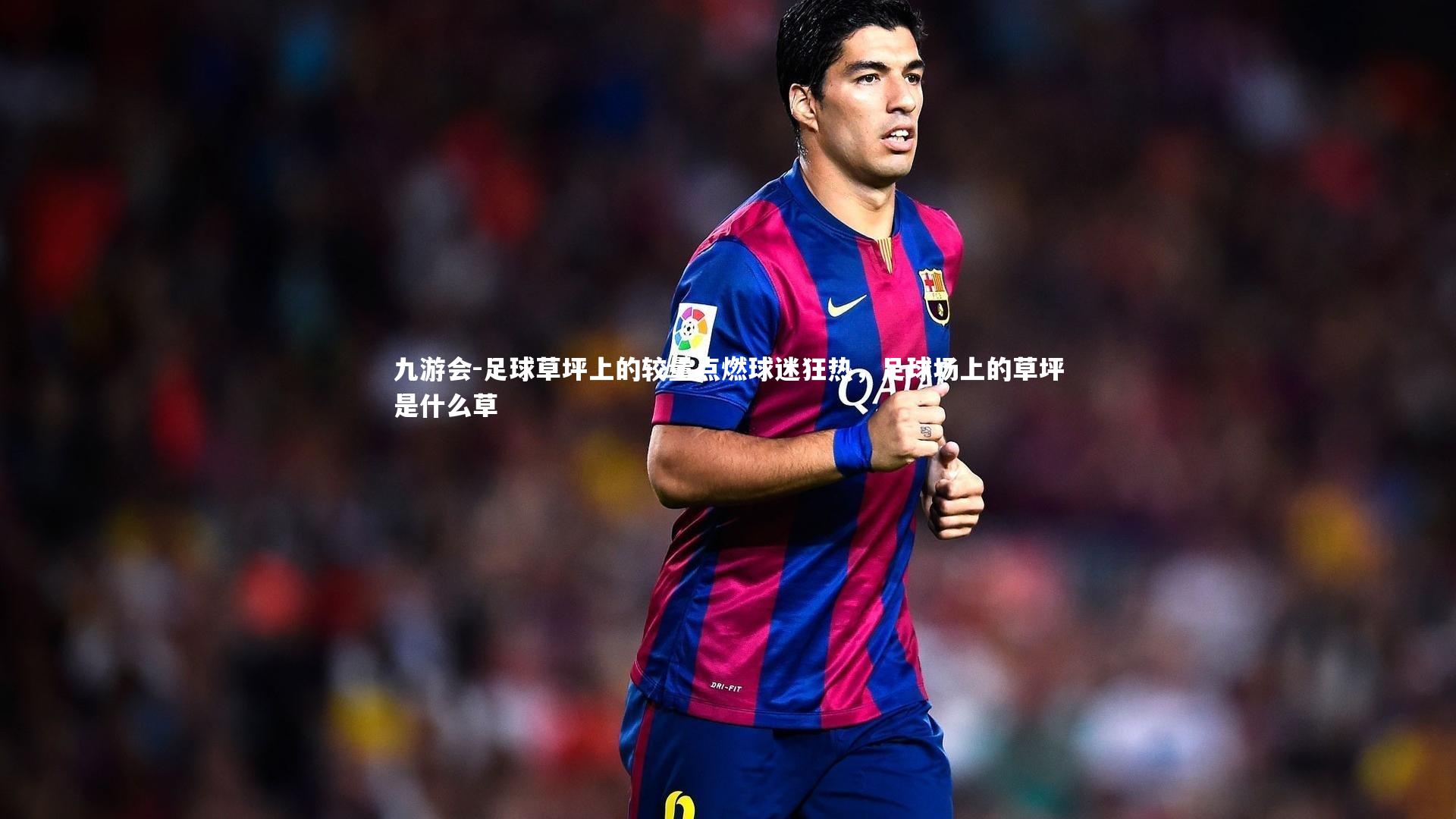 足球草坪上的较量点燃球迷狂热，足球场上的草坪是什么草